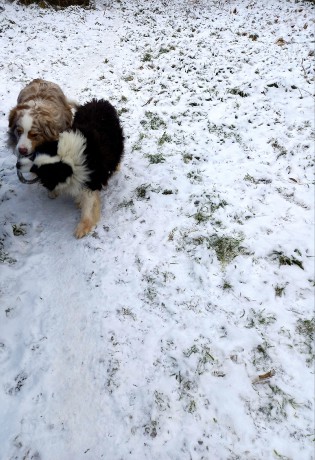 148735407_10218260524200517_7812115155066398529_o